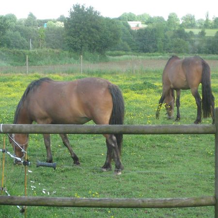 Bed and Breakfast Les Croisettes Le Pin  Экстерьер фото